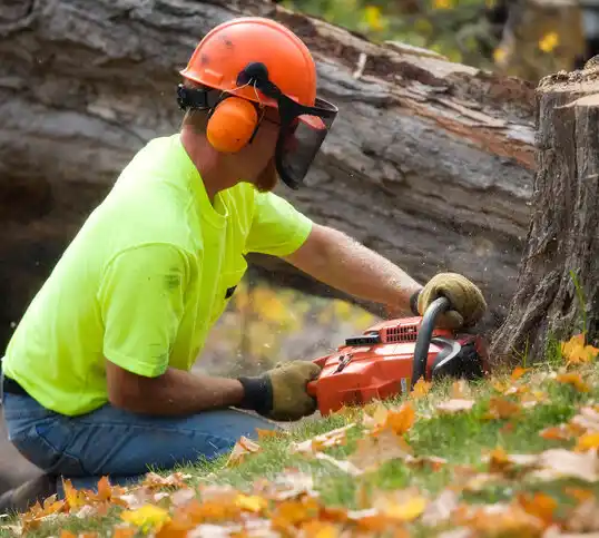 tree services McLain